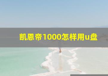 凯恩帝1000怎样用u盘