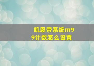 凯恩帝系统m99计数怎么设置