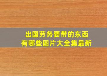 出国劳务要带的东西有哪些图片大全集最新