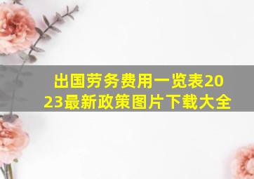 出国劳务费用一览表2023最新政策图片下载大全