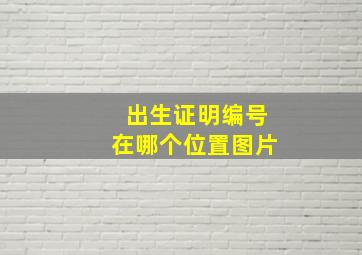 出生证明编号在哪个位置图片