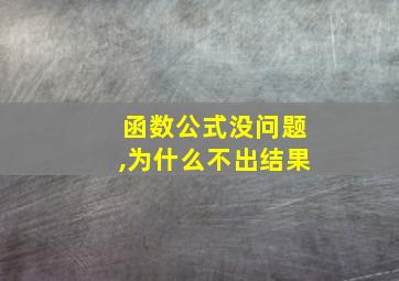 函数公式没问题,为什么不出结果