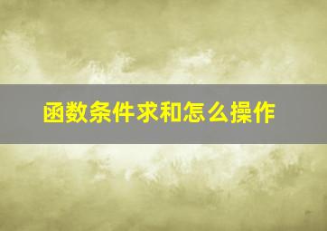 函数条件求和怎么操作