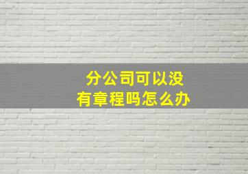 分公司可以没有章程吗怎么办