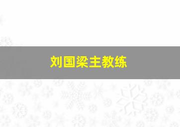 刘国梁主教练