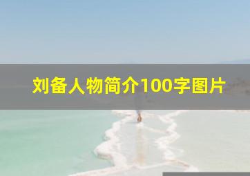 刘备人物简介100字图片