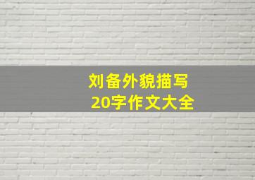 刘备外貌描写20字作文大全