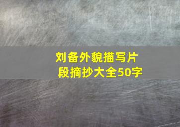 刘备外貌描写片段摘抄大全50字