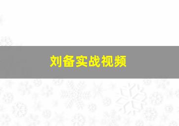 刘备实战视频