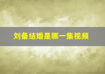 刘备结婚是哪一集视频