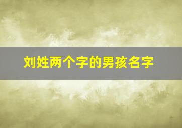 刘姓两个字的男孩名字