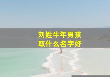 刘姓牛年男孩取什么名字好