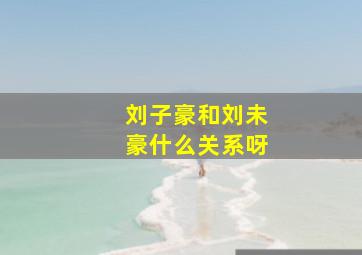 刘子豪和刘未豪什么关系呀