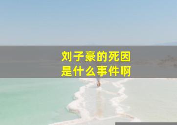 刘子豪的死因是什么事件啊