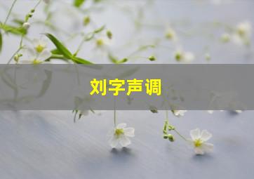 刘字声调