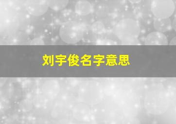 刘宇俊名字意思