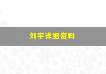 刘宇详细资料