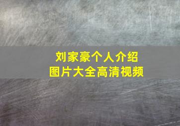 刘家豪个人介绍图片大全高清视频