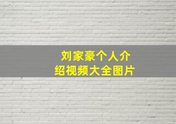 刘家豪个人介绍视频大全图片