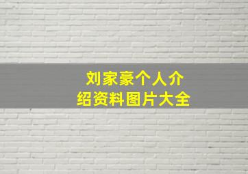 刘家豪个人介绍资料图片大全