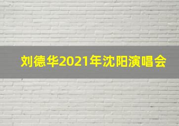 刘德华2021年沈阳演唱会