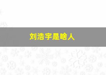 刘浩宇是啥人