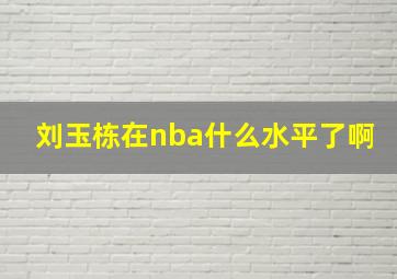 刘玉栋在nba什么水平了啊