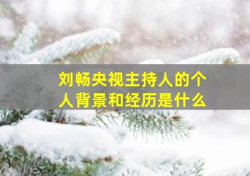 刘畅央视主持人的个人背景和经历是什么