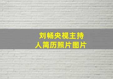 刘畅央视主持人简历照片图片