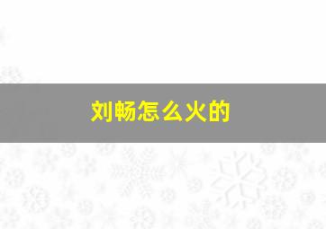 刘畅怎么火的