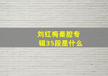 刘红梅秦腔专辑35段是什么