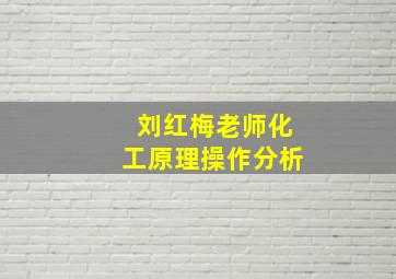 刘红梅老师化工原理操作分析