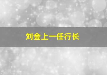 刘金上一任行长