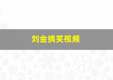 刘金搞笑视频