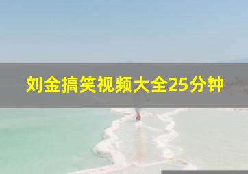 刘金搞笑视频大全25分钟