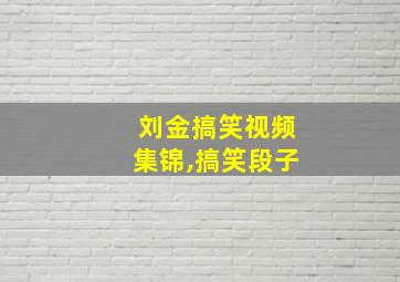 刘金搞笑视频集锦,搞笑段子