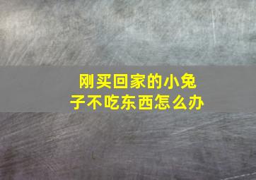 刚买回家的小兔子不吃东西怎么办