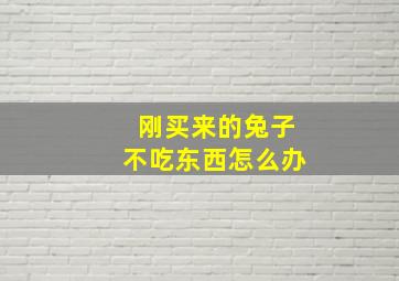 刚买来的兔子不吃东西怎么办