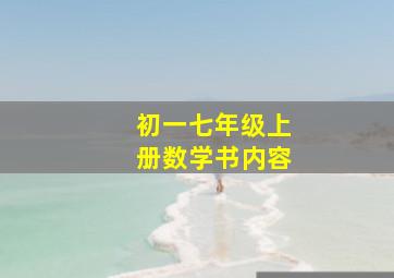 初一七年级上册数学书内容