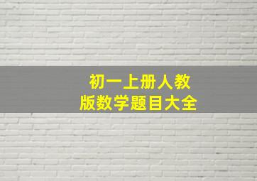 初一上册人教版数学题目大全