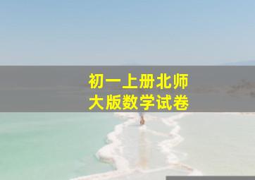 初一上册北师大版数学试卷