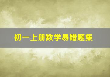 初一上册数学易错题集