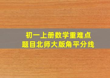 初一上册数学重难点题目北师大版角平分线