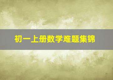 初一上册数学难题集锦