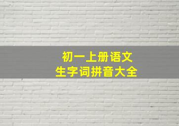 初一上册语文生字词拼音大全