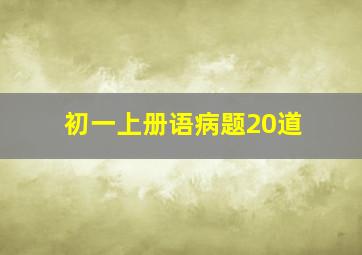 初一上册语病题20道