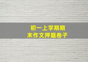 初一上学期期末作文押题卷子