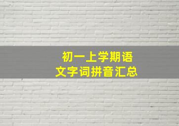 初一上学期语文字词拼音汇总