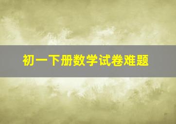 初一下册数学试卷难题