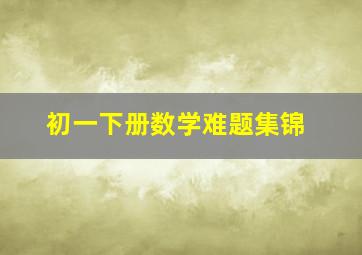 初一下册数学难题集锦